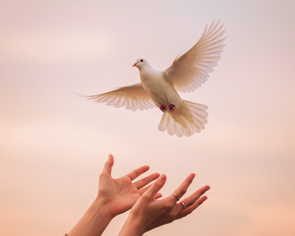 Избавление от энергетических долгов уходящего года