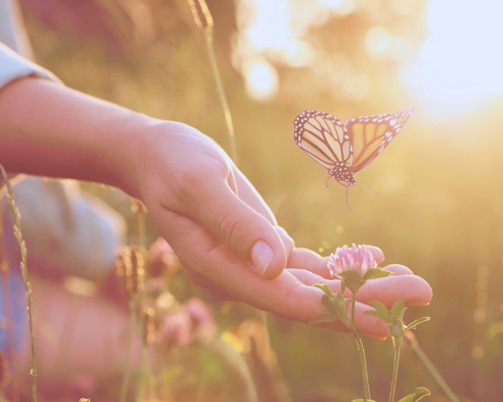 Трансформационный сеанс «Цветок жизни»